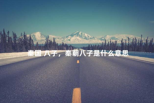 秦国 八子，秦朝八子是什么意思